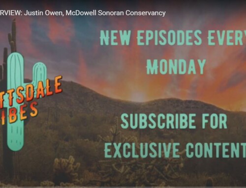 McDowell Sonoran Conservancy CEO Interview with Scottsdale Vibes